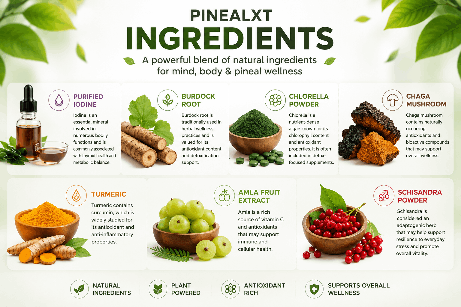 pineal xt ingredients